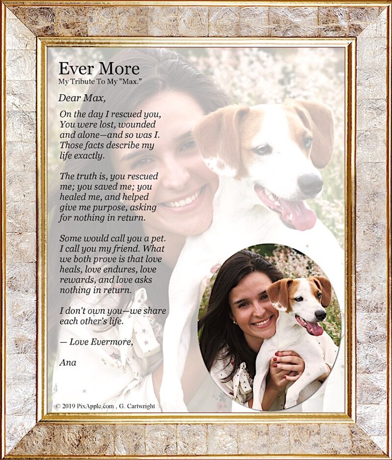 'Ever More™' Pet Custom Portrait